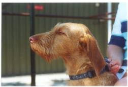  Ik wist nog niet wat er van komen ging