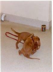 en nog willen ze eten bij mij